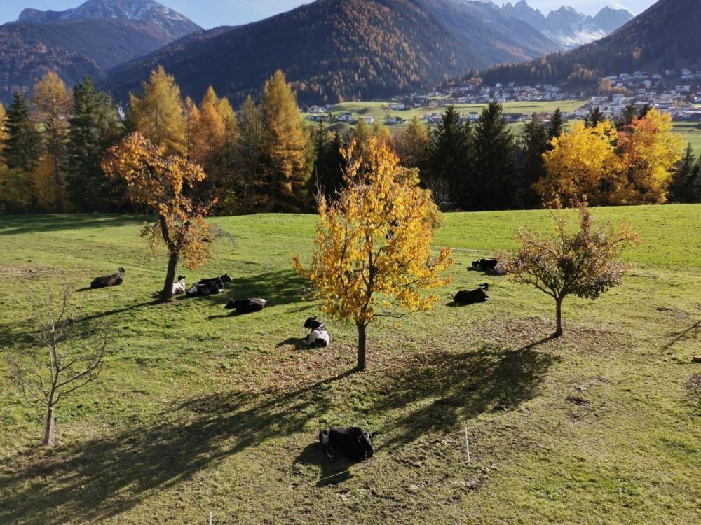 Ferienwohnungen Simon - Hauserhof Oberperfuss Kültér fotó